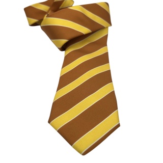 Tie 100% silk (#1160)