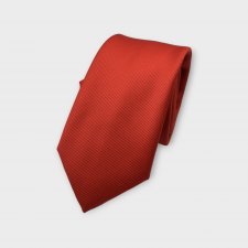 Tie 100% silk (#1022)