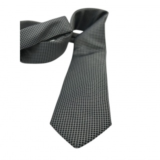 Tie 100% silk (#1150)
