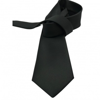 Tie 100% silk (#1033)
